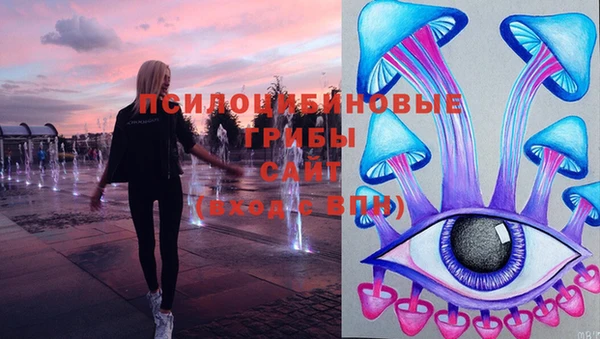2c-b Медвежьегорск